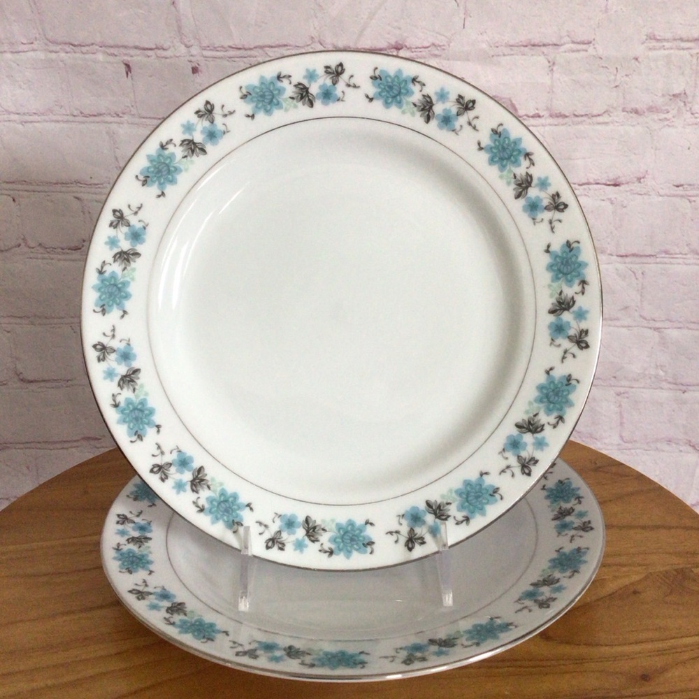 Vintage Blue Floral Dinner Plates - Set of 2